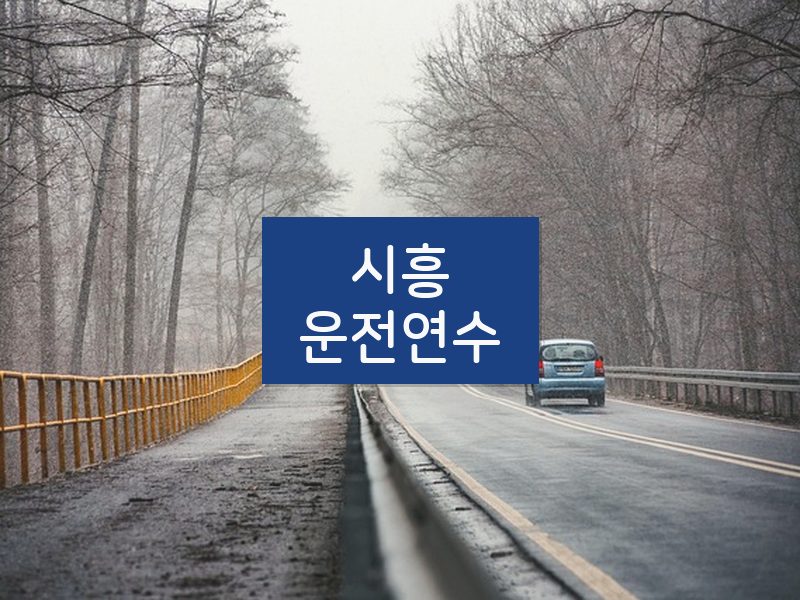 시흥운전연수 후기