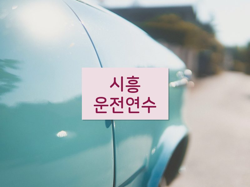 시흥운전연수 후기