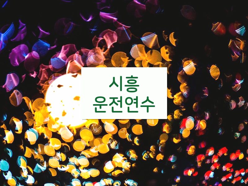 시흥운전연수 후기