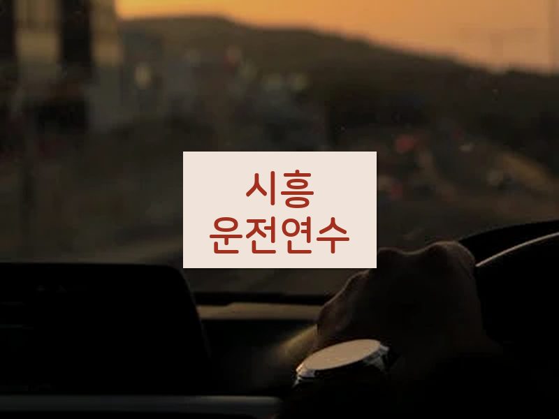 시흥운전연수 후기