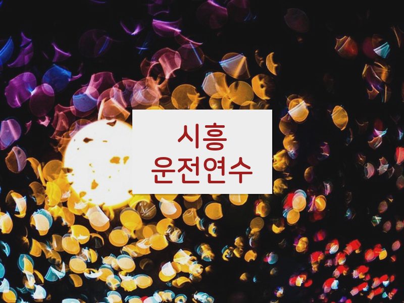 시흥운전연수 후기