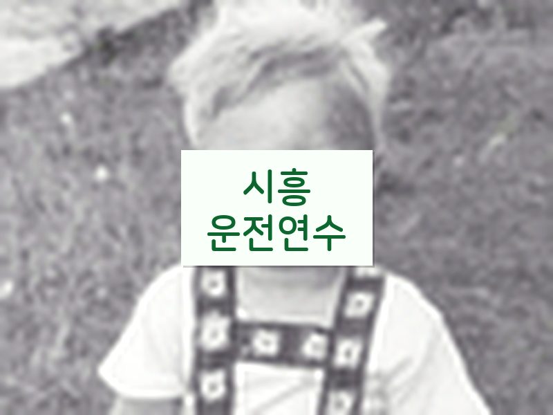 시흥운전연수 후기