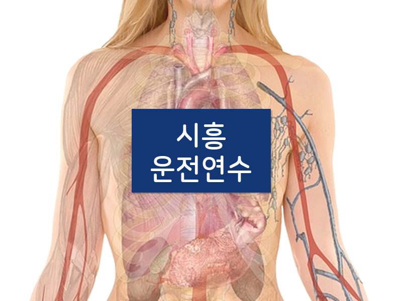 시흥운전연수 후기