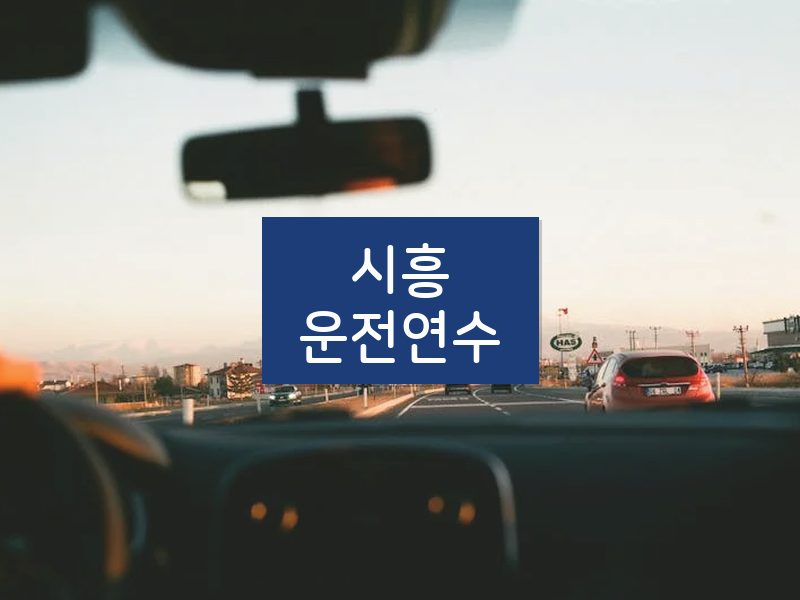 시흥운전연수 후기