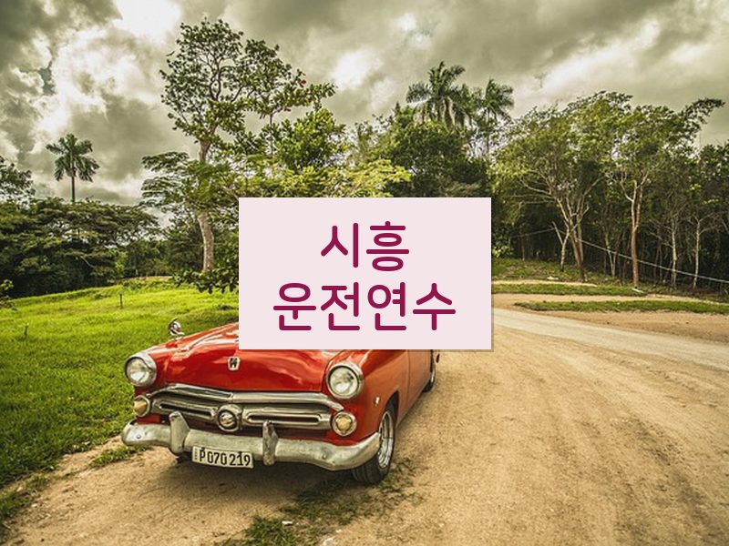 시흥운전연수 후기