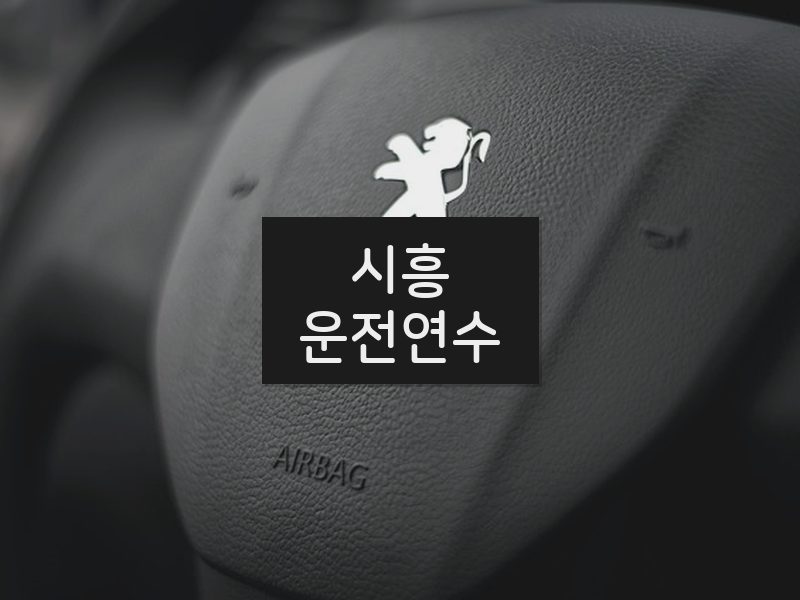 시흥운전연수 후기
