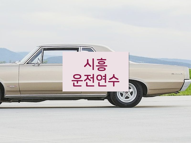 시흥운전연수 후기