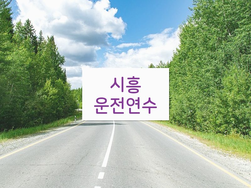 시흥운전연수 후기
