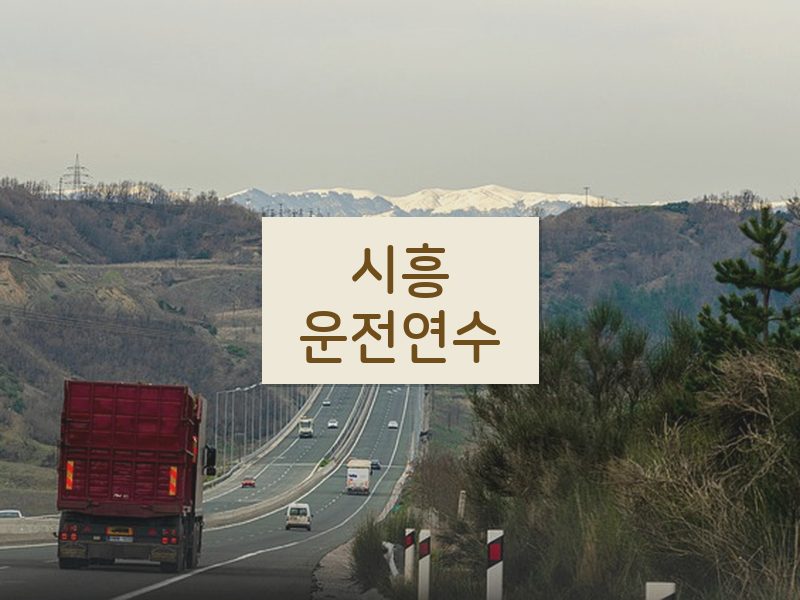 시흥운전연수 후기