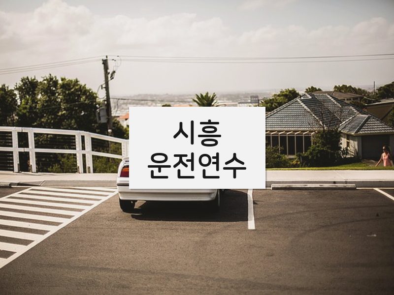 시흥운전연수 후기