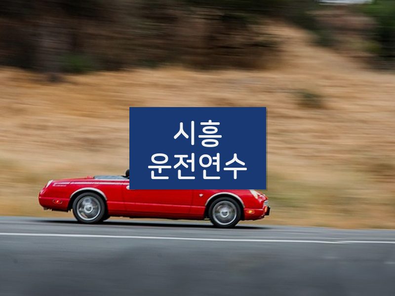 시흥운전연수 후기