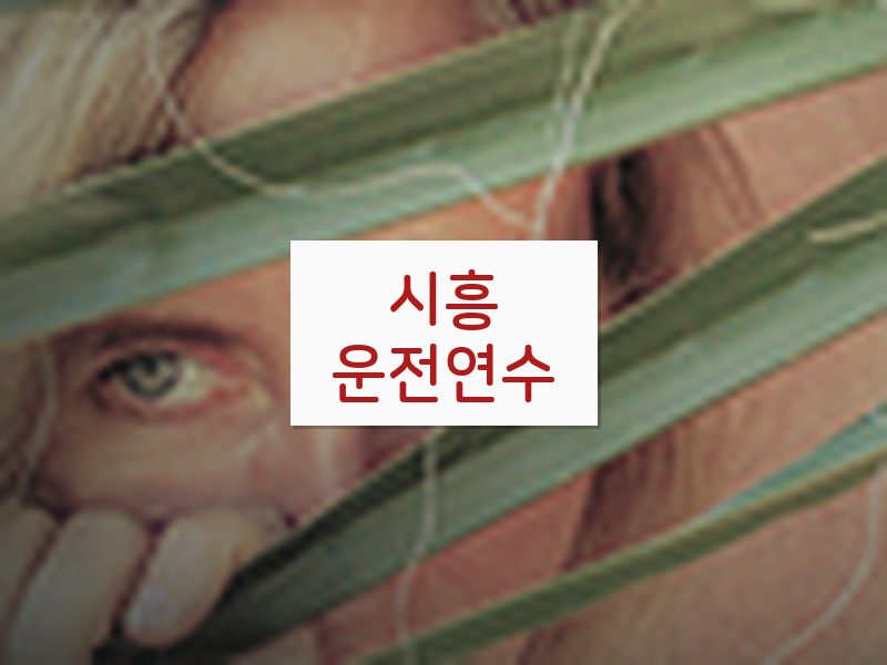 시흥운전연수 후기