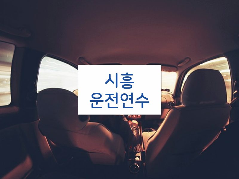 시흥운전연수 후기