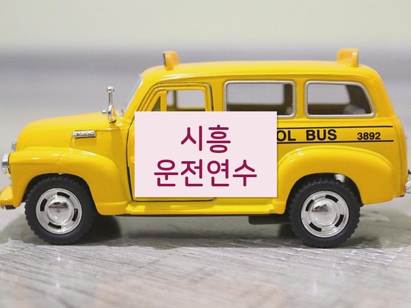 시흥운전연수 후기