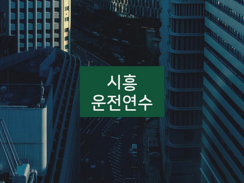 시흥운전연수 후기