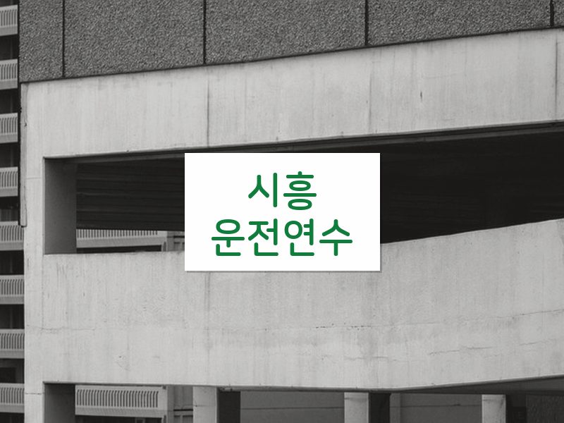 시흥운전연수 후기