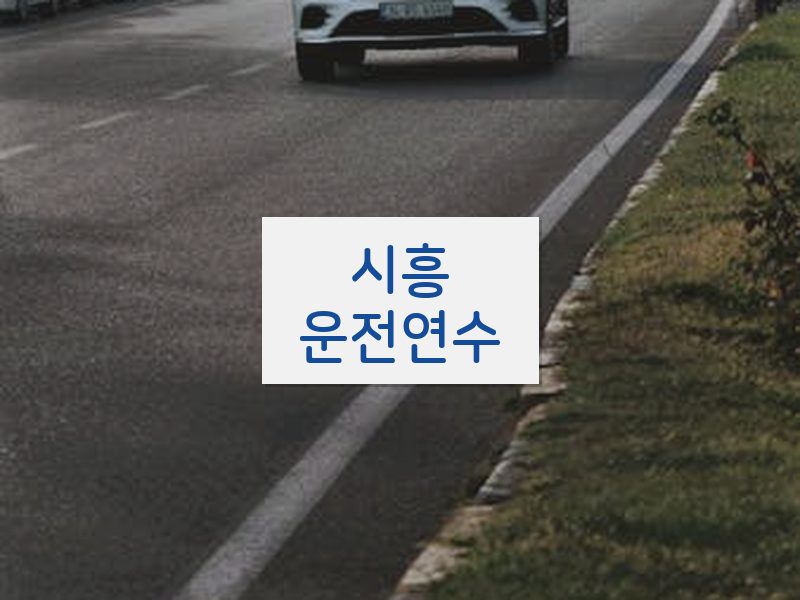 시흥운전연수 후기