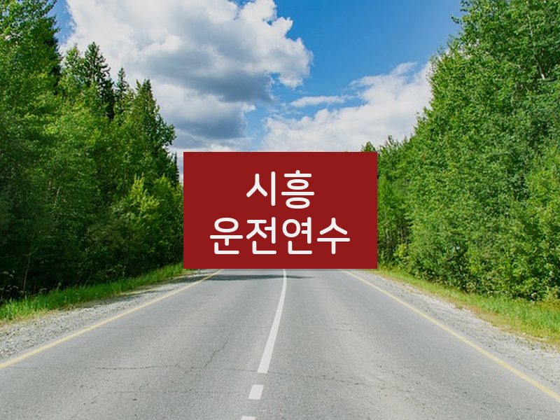 시흥운전연수 후기