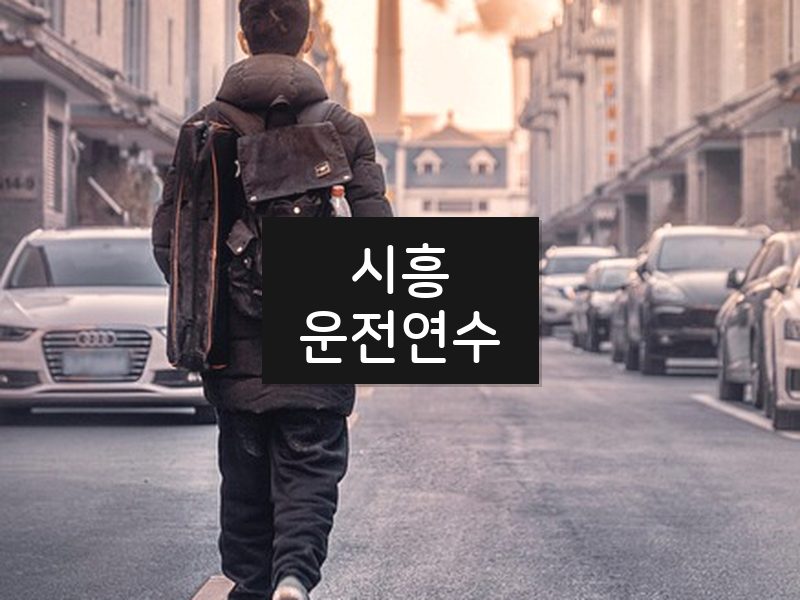 시흥운전연수 후기