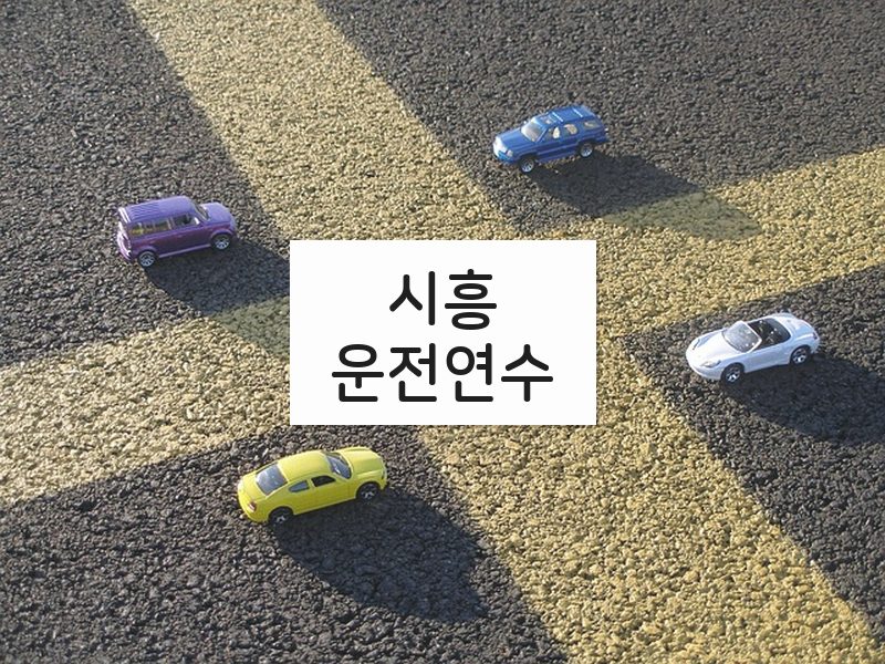 시흥운전연수 후기