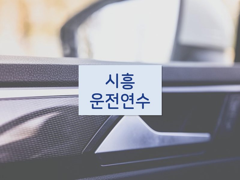 시흥운전연수 후기