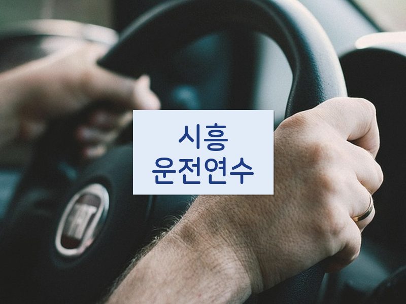 시흥운전연수 후기