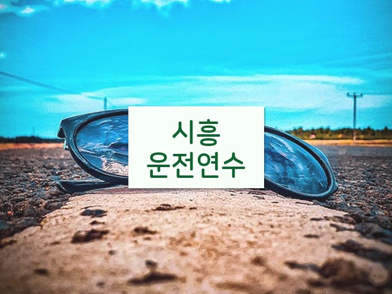 시흥운전연수 후기