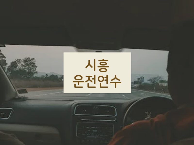 시흥운전연수 후기
