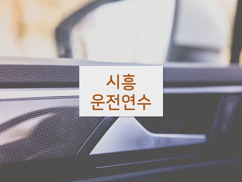 시흥운전연수 후기