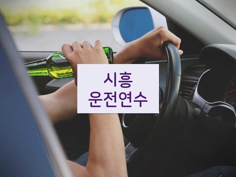 시흥운전연수 후기