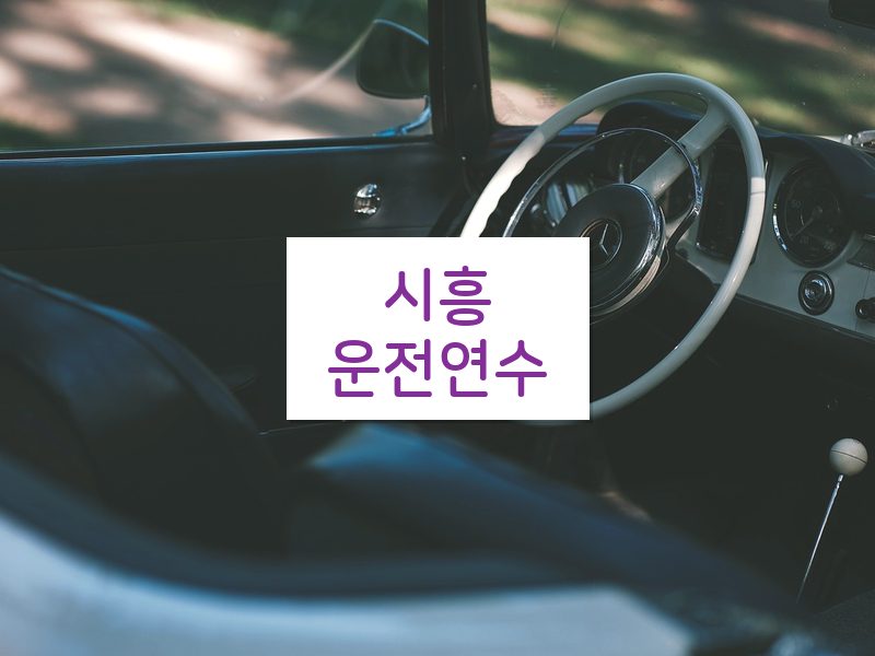 시흥운전연수 후기