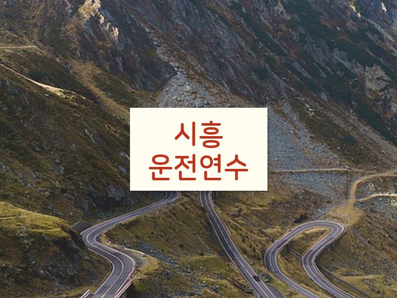 시흥운전연수 후기