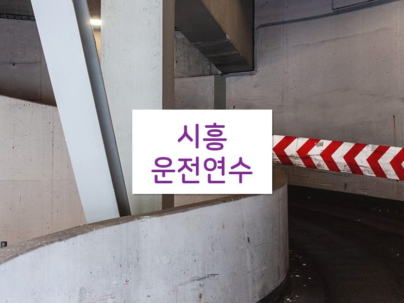시흥운전연수 후기