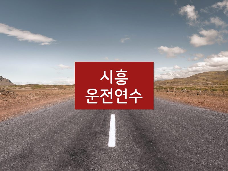 시흥운전연수 후기