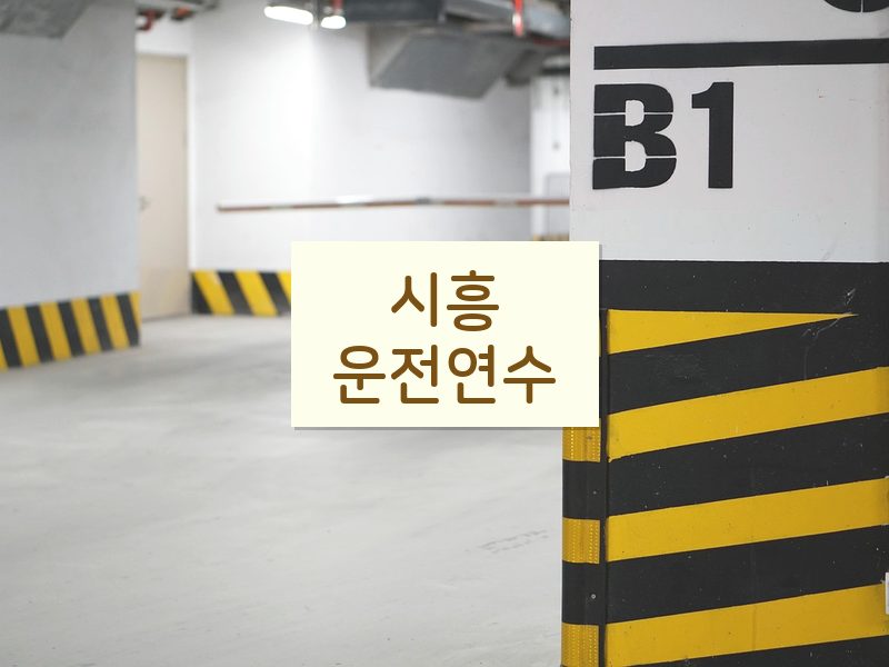 시흥운전연수 후기