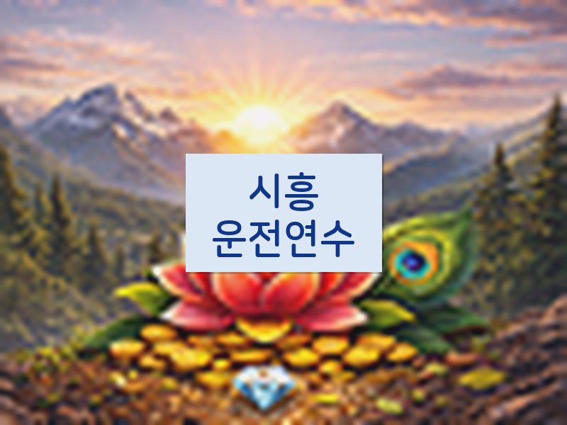 시흥운전연수 후기