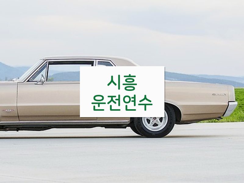 시흥운전연수 후기
