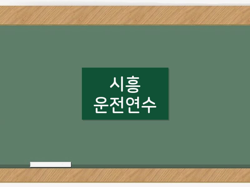 시흥운전연수 후기