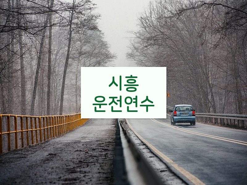 시흥운전연수 후기