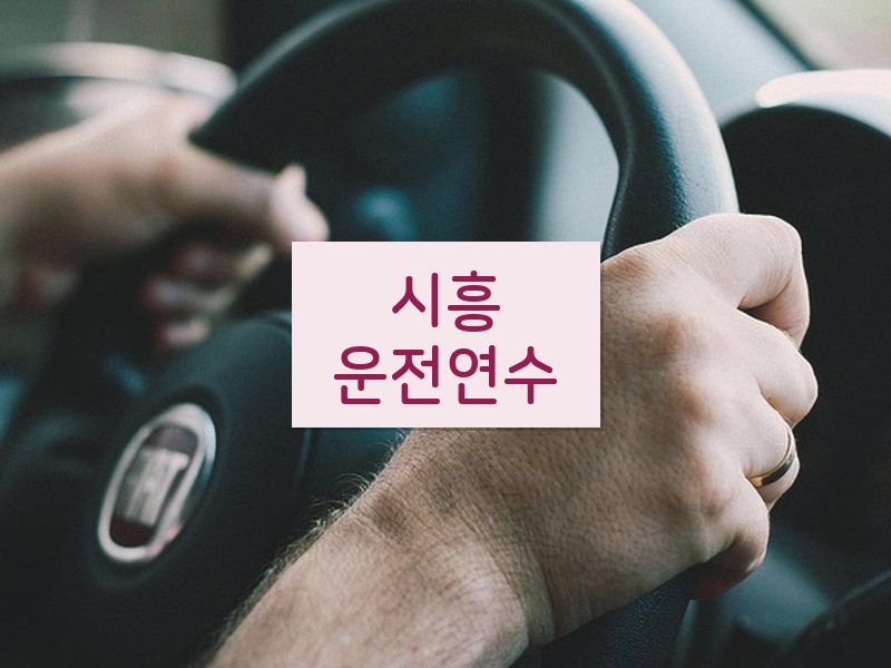 시흥운전연수 후기