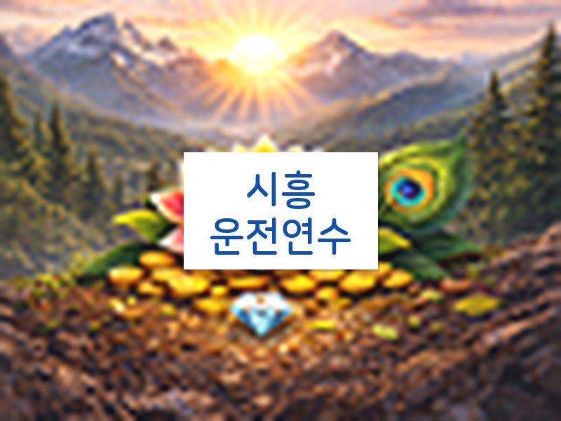 시흥운전연수 후기
