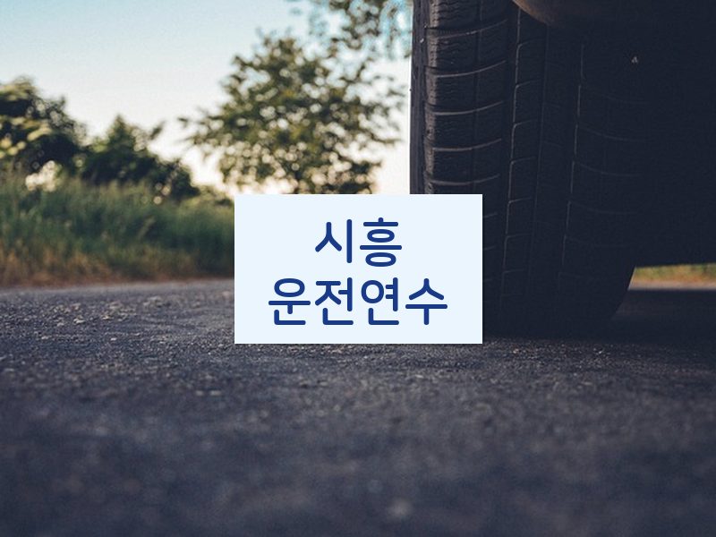 시흥운전연수 후기