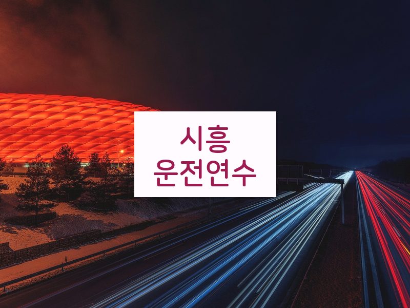 시흥운전연수 후기