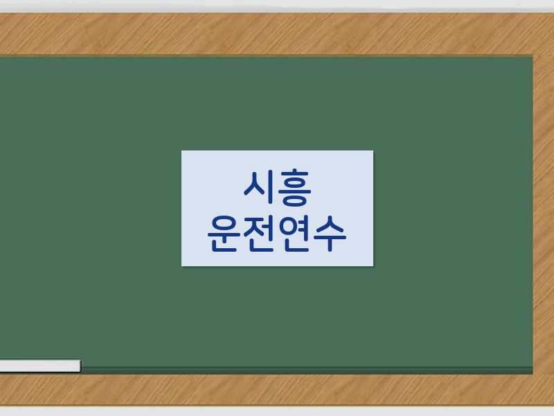 시흥운전연수 후기