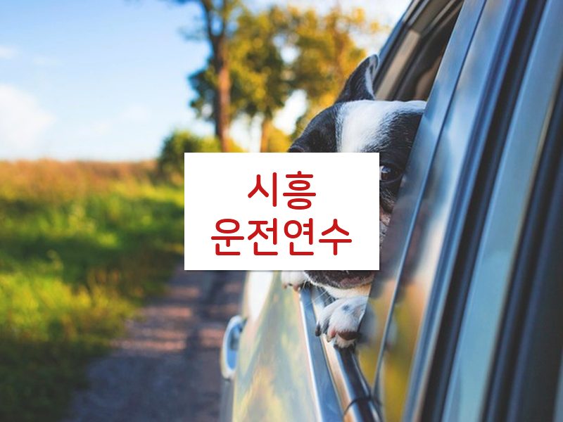 시흥운전연수 후기