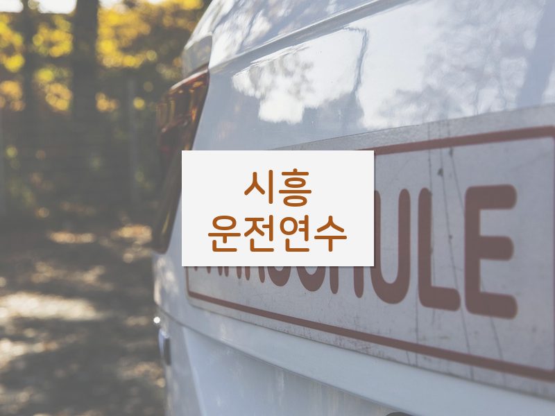 시흥운전연수 후기