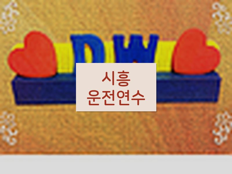 시흥운전연수 후기