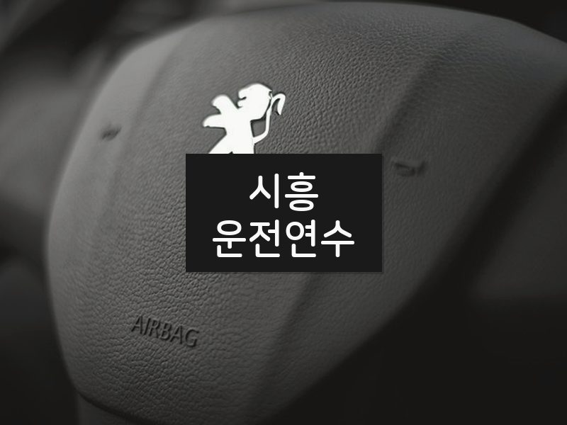 시흥운전연수 후기