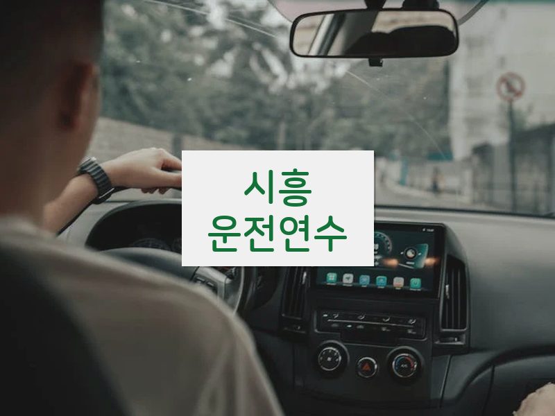 시흥운전연수 후기