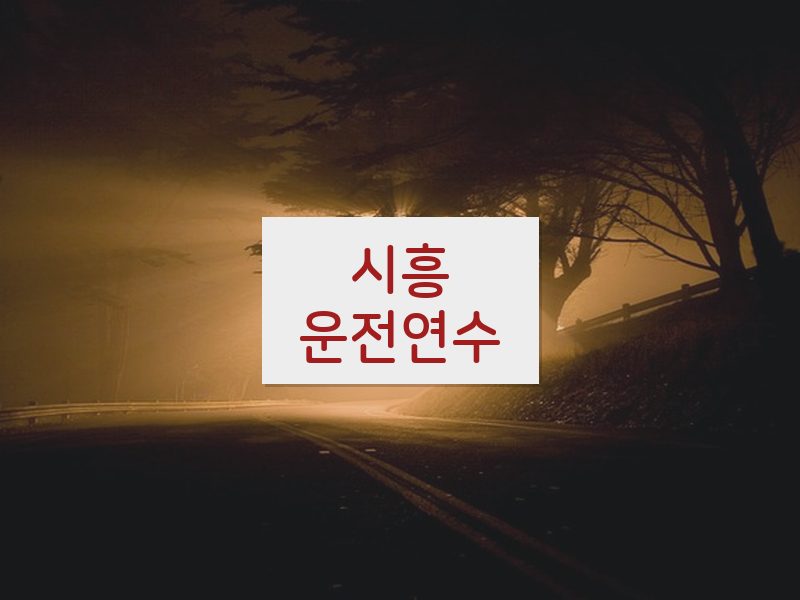 시흥운전연수 후기